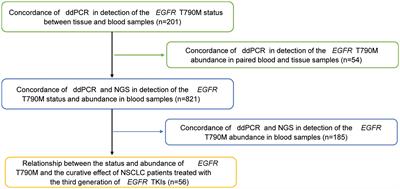 Application of ddPCR in detection of the status and abundance of EGFR T790M mutation in the plasma samples of non-small cell lung cancer patients